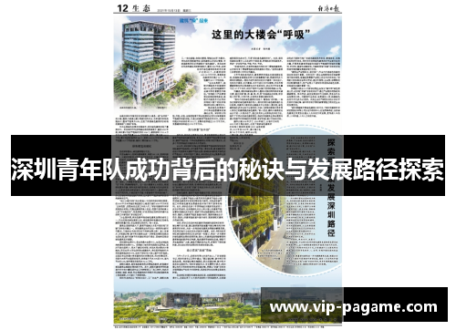 深圳青年队成功背后的秘诀与发展路径探索