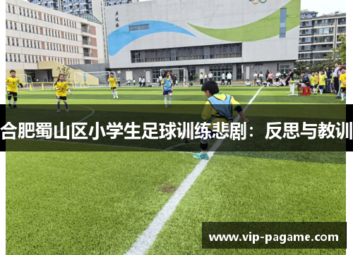 合肥蜀山区小学生足球训练悲剧：反思与教训