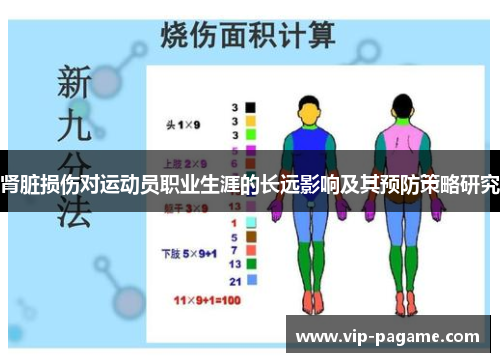 肾脏损伤对运动员职业生涯的长远影响及其预防策略研究