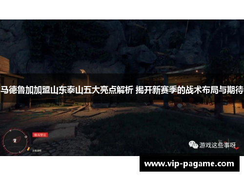 马德鲁加加盟山东泰山五大亮点解析 揭开新赛季的战术布局与期待 马德鲁加加盟山东泰山五大亮点解析 揭开新赛季的战术布局与期待