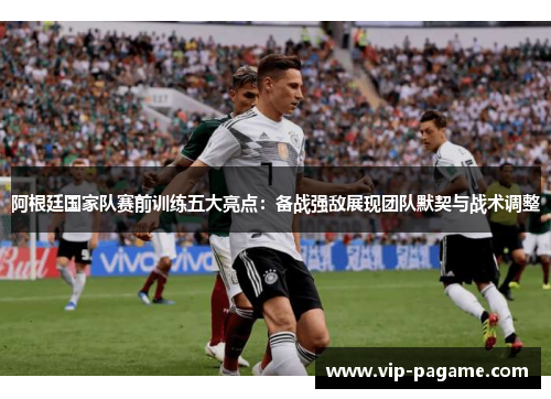 阿根廷国家队赛前训练五大亮点：备战强敌展现团队默契与战术调整