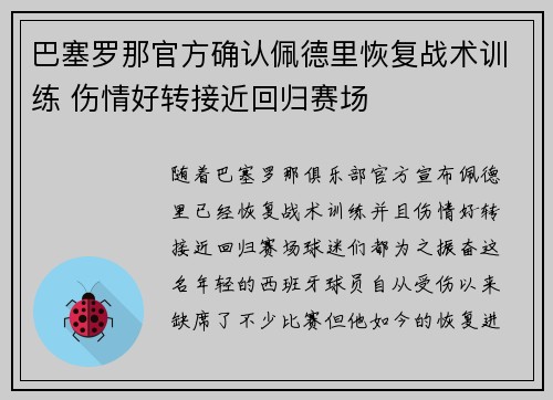 巴塞罗那官方确认佩德里恢复战术训练 伤情好转接近回归赛场 巴塞罗那官方确认佩德里恢复战术训练 伤情好转接近回归赛场