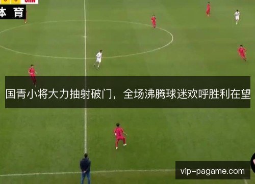 国青小将大力抽射破门,全场沸腾球迷欢呼胜利在望 国青小将大力抽射破门,全场沸腾球迷欢呼胜利在望