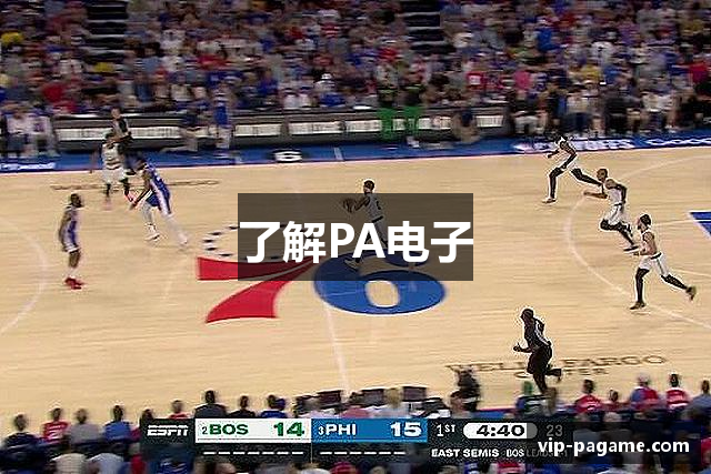了解PA电子